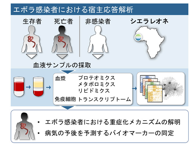 図2：エボラ感染者における宿主応答解析
