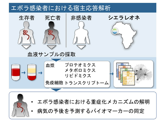 図2:エボラ感染者における宿主応答解析