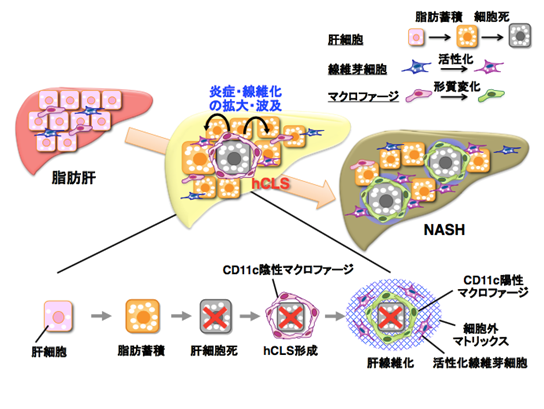 図2