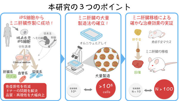 図1