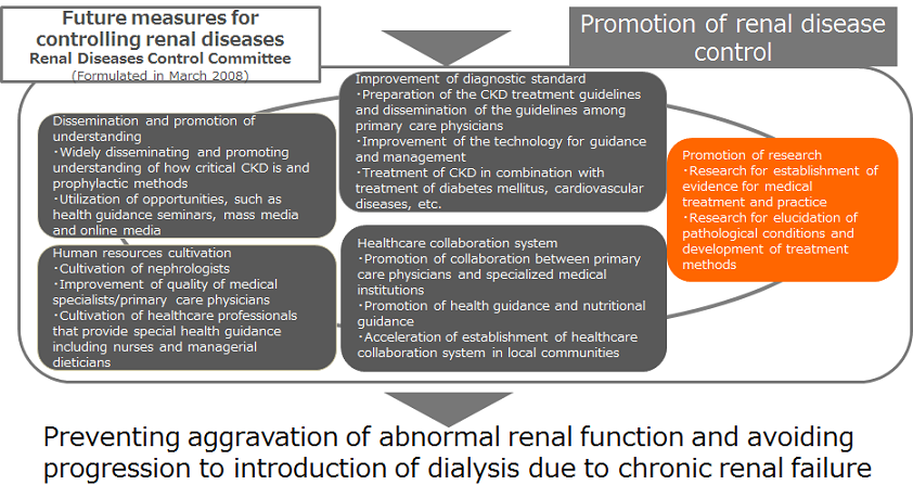 Practical Research Project for Renal Diseases