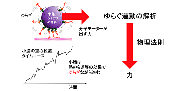 症候群 コステロ コステロ症候群：原因、症状、および治療