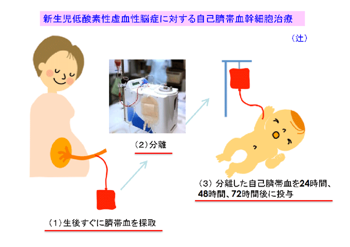 酸素 脳症 低