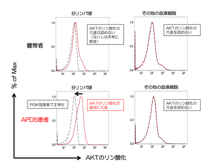 図1：Bリンパ球における細胞内AKTのリン酸化解析