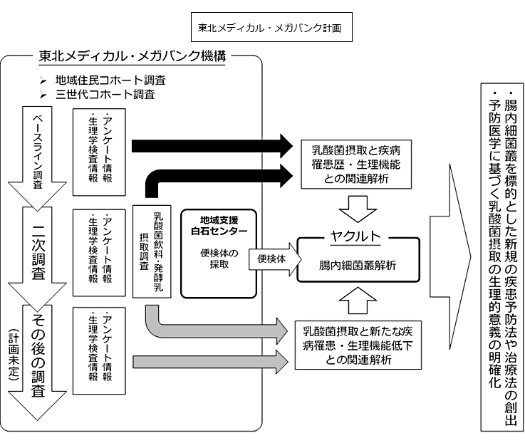 共同研究の概要