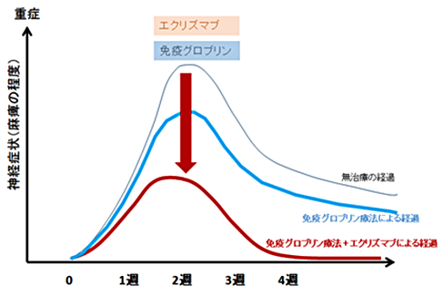 図3. ギラン・バレー症候群の治療経過（作業仮説）