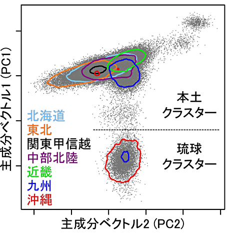 図3 遺伝的背景に基づく日本人集団の分類