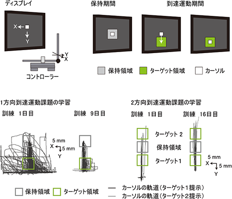 図1．上肢到達運動課題