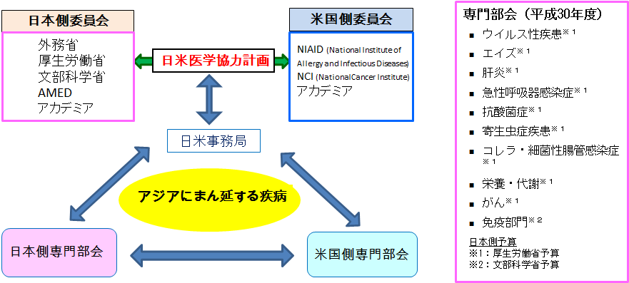 地球規模保健課題解決推進のための研究事業 日米医学協力計画 国立研究開発法人日本医療研究開発機構