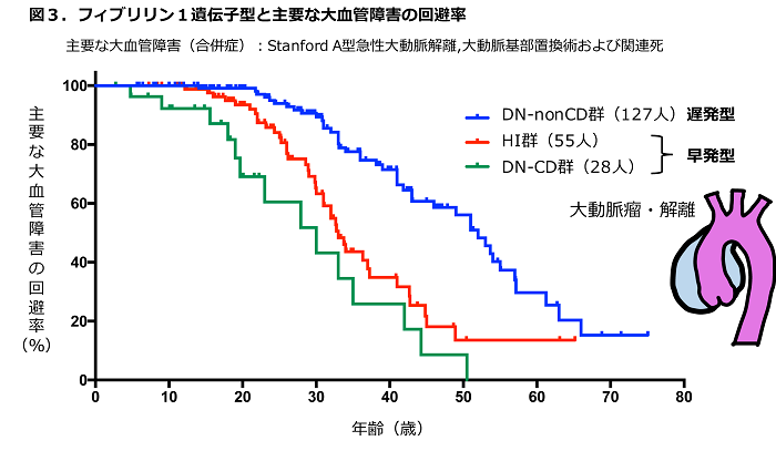 図3 フィブリリン1遺伝子型と主要な大血管障害の回避率