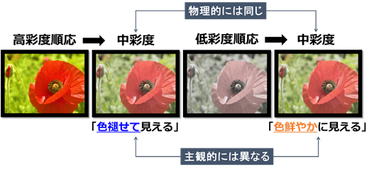 図1　彩度順応効果を利用した実験デザイン