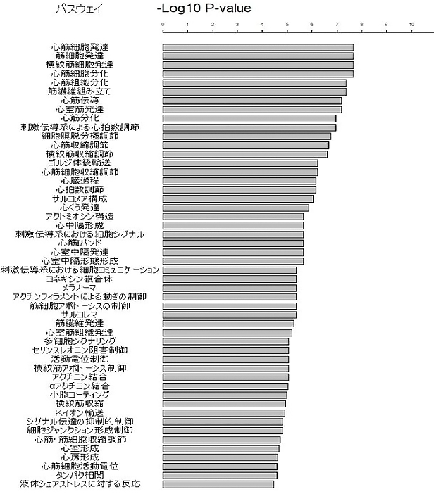 図1 有意となった生物学的パスウェイ