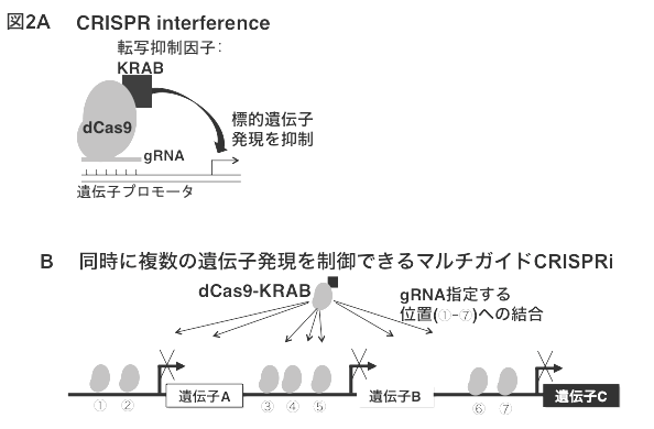 図2