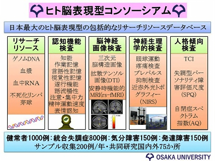 図4．ヒト脳表現型コンソーシアム