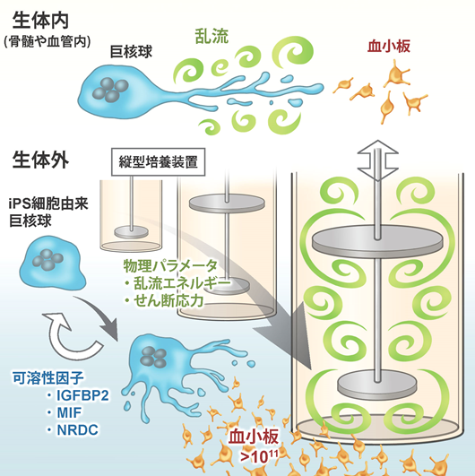 論文の概要図