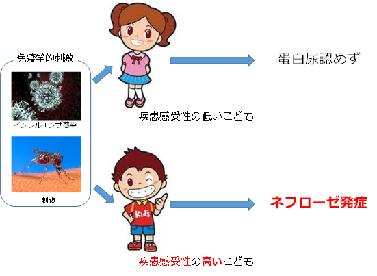 ネフローゼ 症候群 と は