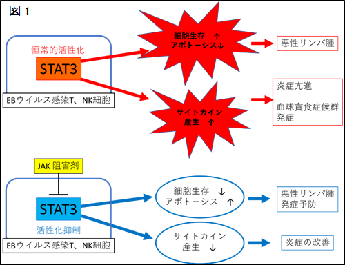 図１