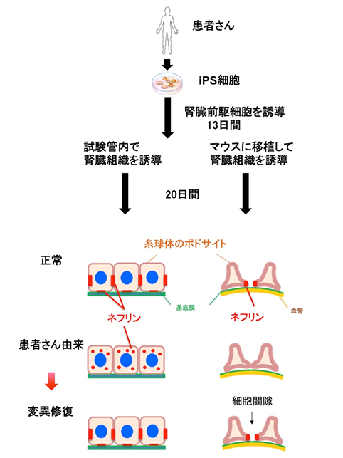 図2