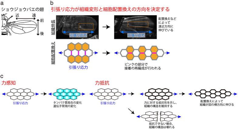 図1