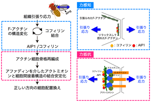 図3