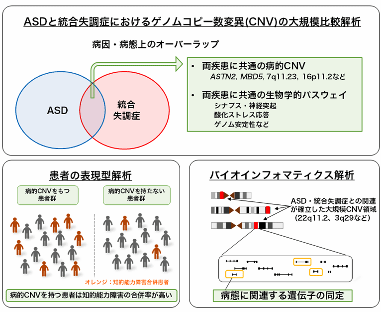 失調 症 幻聴 統合