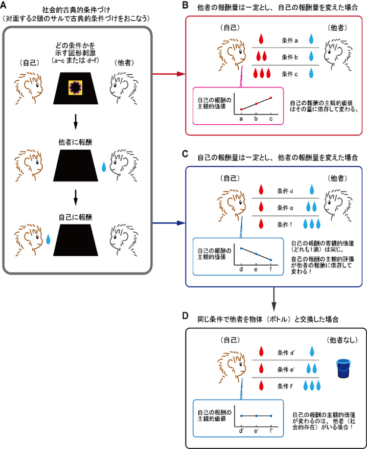 隣の芝生が青く見えるのはサルも同じ！サルも他者の得るものが気になる