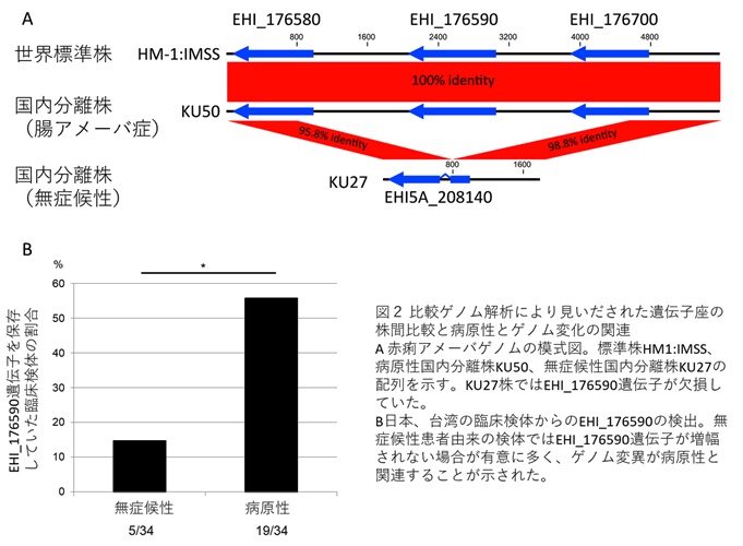 図2