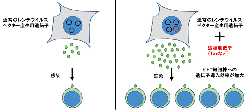 図1