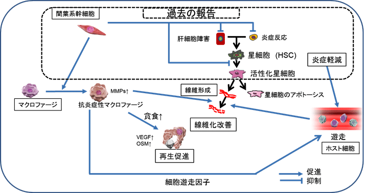 相関図