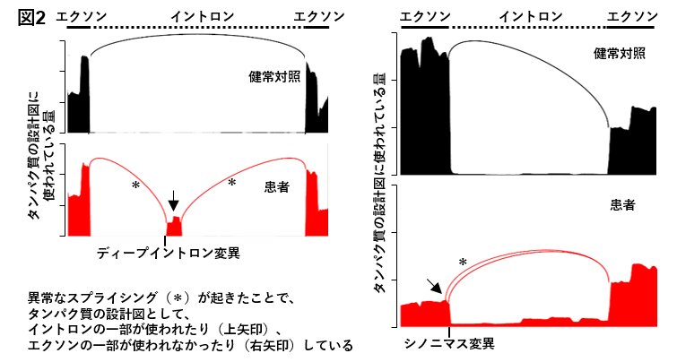 図2