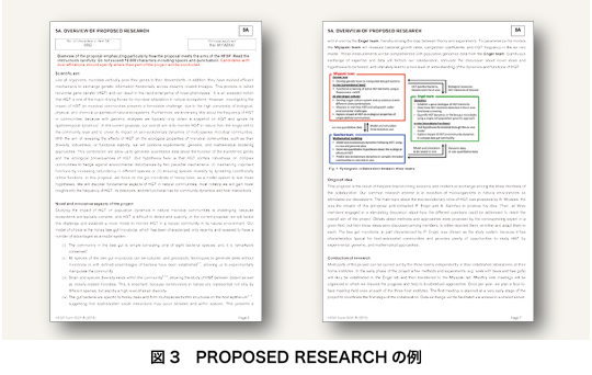 図3　PROPSED RESEACHの例