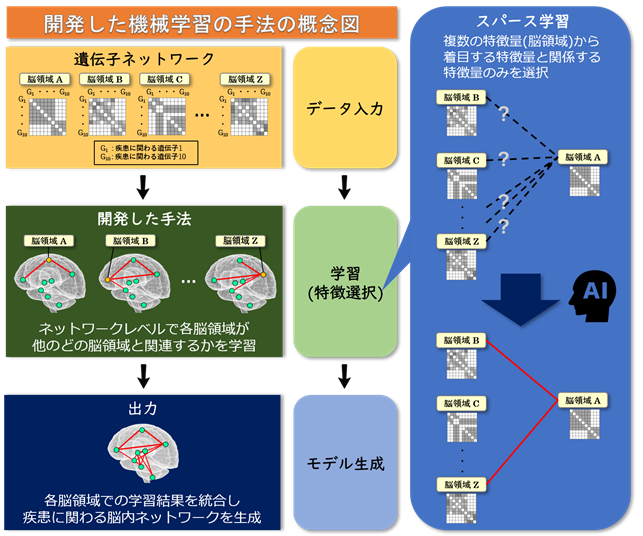 精神疾患に関わる脳内ネットワークを推定するAI手法を開発！