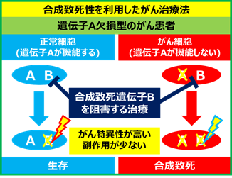 合成致死性を利用したがん治療法概要図