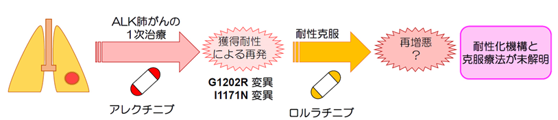 ALK融合遺伝子陽性肺がんに対する薬剤耐性変異予測と、既存薬を活用した耐性克服法の発見
