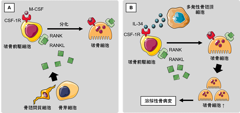 参考図