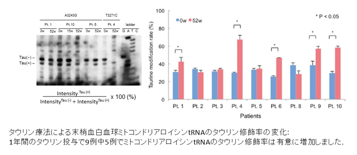 タウリン療法による抹消血白血球ミトコンドリアロイシンtRNAのタウリン修飾率の変化：1年間のタウリン投与で、9例中5例でミトコンドリアロイシンtRNAのタウリン修飾率は有意に増加しました。