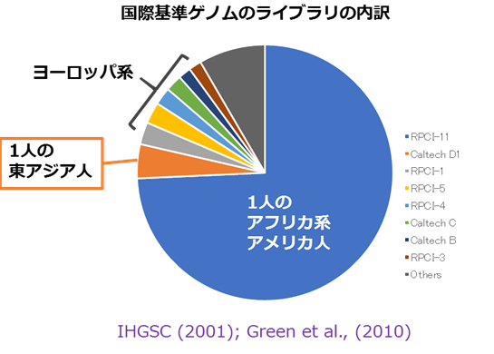 国際基準ゲノムのライブラリの内訳円グラフ