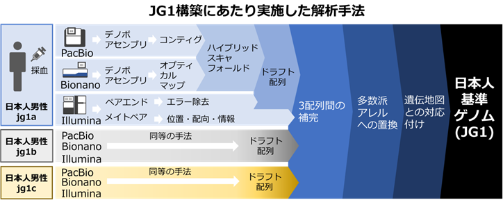 JG1構築にあたり実施した解析手法