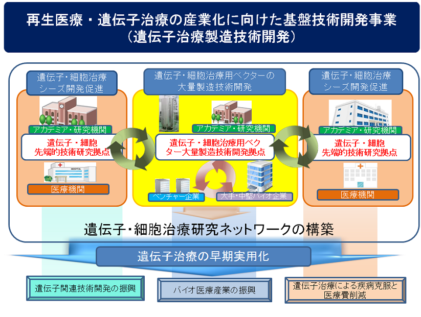 再生医療・遺伝子治療の産業化に向けた基盤技術開発事業（遺伝子治療製造技術開発）