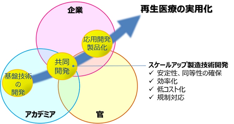 再生 医療