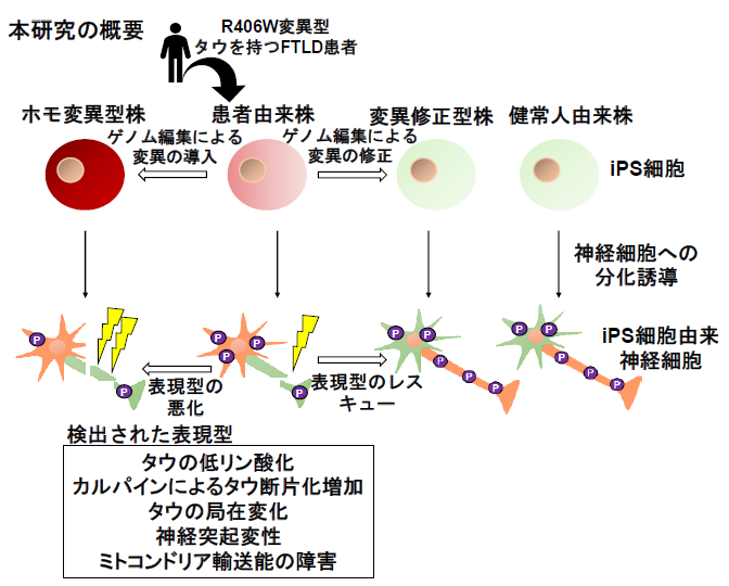 図2 本研究の概要図