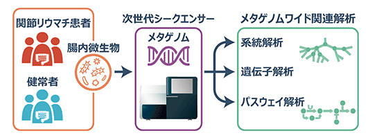 腸内微生物叢の全ゲノム解析により関節リウマチ患者の腸内細菌の特徴が明らかに
