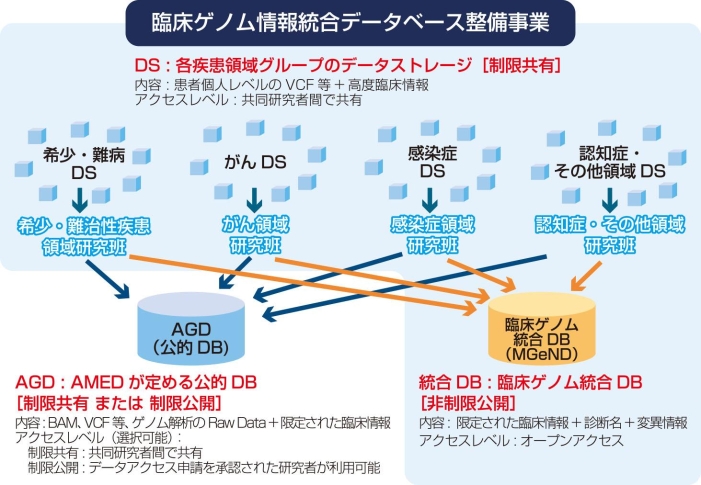 臨床ゲノムデータベースで切り拓く 難聴の原因遺伝子診断と個別化治療への道 国立研究開発法人日本医療研究開発機構