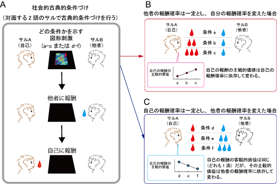 他者の得るものが気になる脳の仕組み～自己と他者の報酬情報を処理・統合する神経メカニズム～