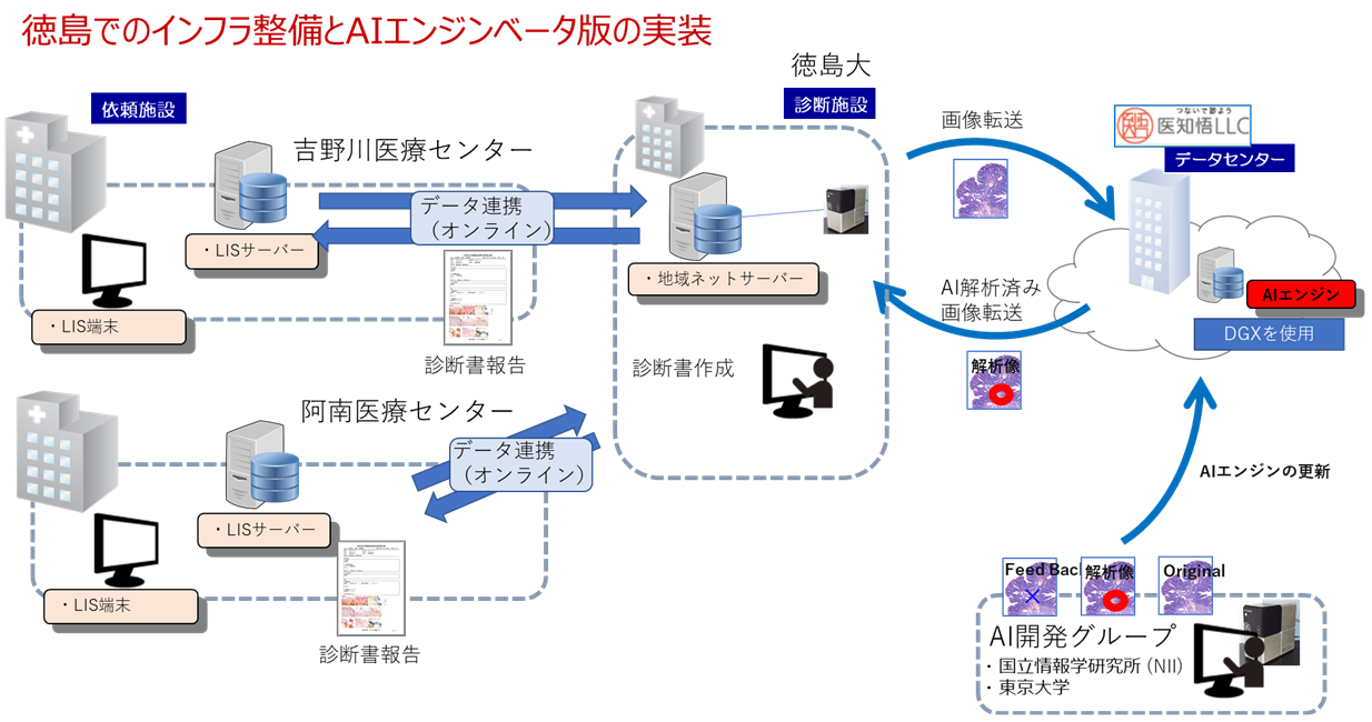 徳島でのインフラ整備とAIエンジンベータ版の実装