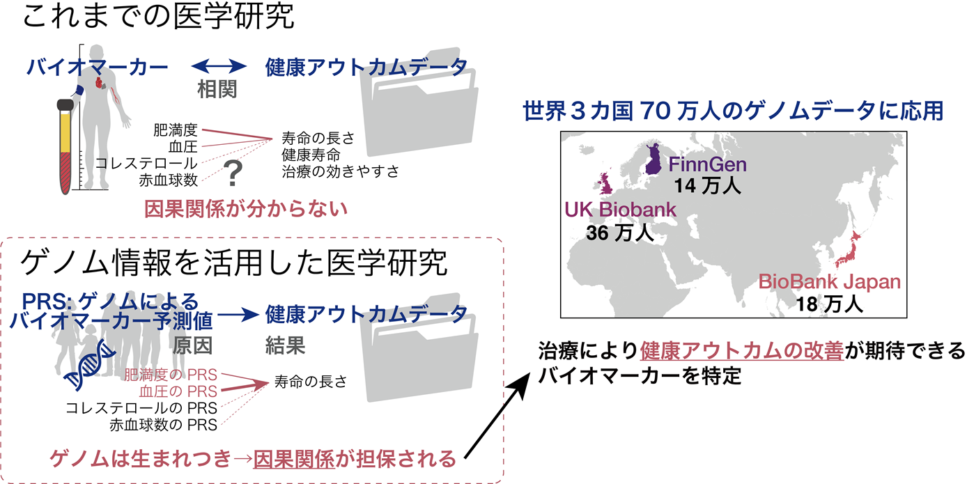 70万人のゲノムによるリスク予測で、高血圧・肥満が現代人の寿命を最も縮めていることを特定