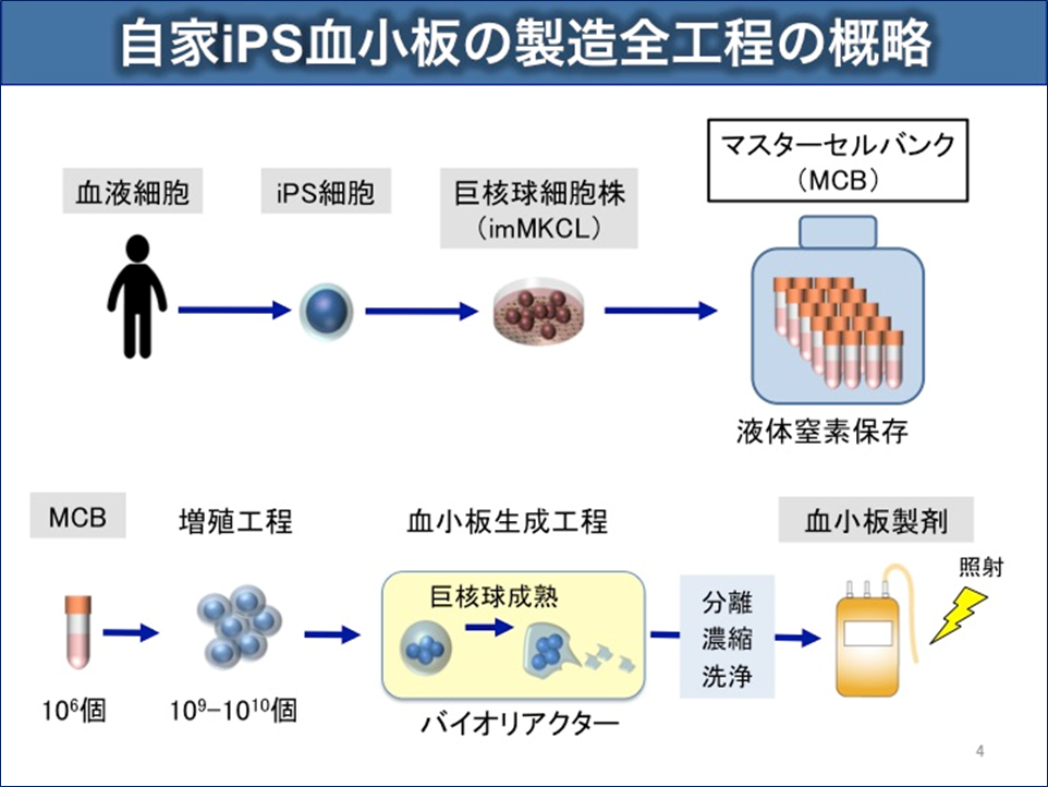 自家iPS血小板の製造全工程の概略イメージ