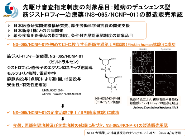 デュシェンヌ型筋ジストロフィー治療薬（NS-065/NCNP-01、ビルトラルセン）の製造販売承認の資料