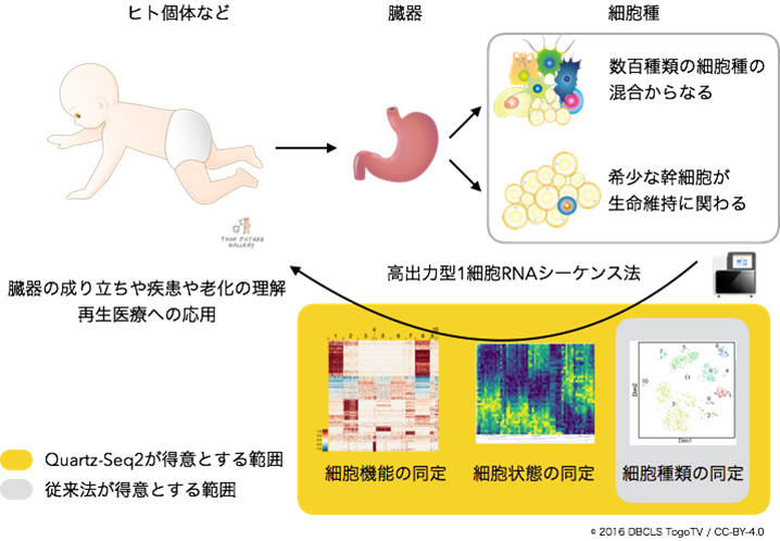 1細胞RNA解析で世界最高成績～国際的な性能比較研究で証明～