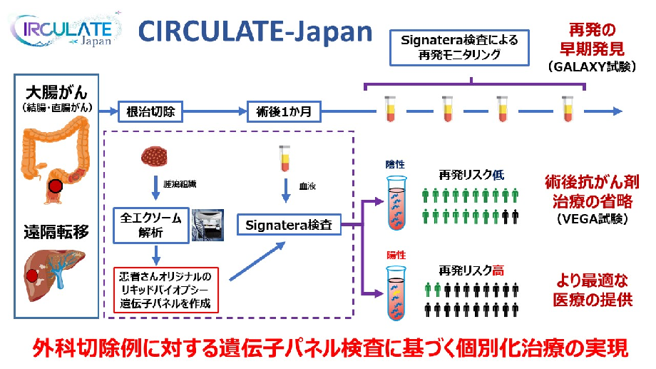 外科切除例に対する遺伝子パネル検査に基づく個別化治療の実現